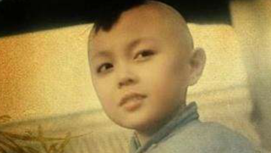 同为李连杰接班人，有人一战成神，有人跌落神坛，也有人默默前行