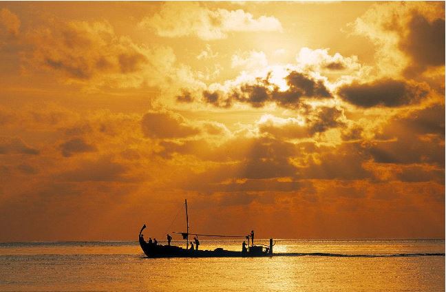 明星的马尔代夫之旅,明星去马尔代夫旅游