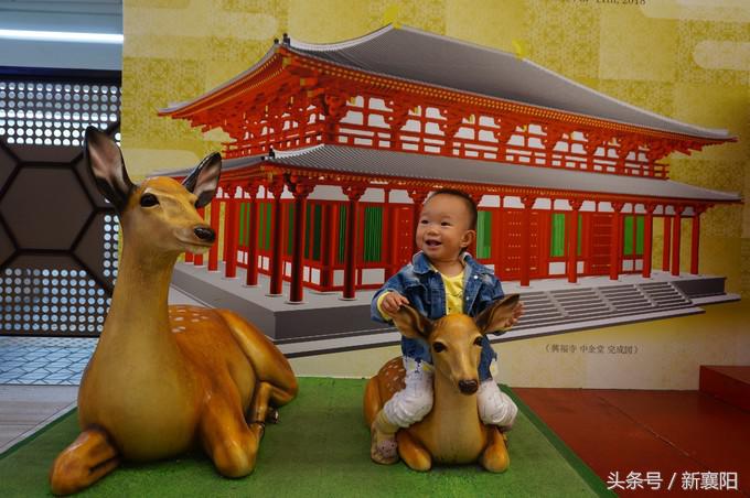 带娃去日本一周自由行,带四岁孩子去日本穷游攻略