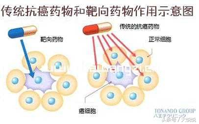 有什么东西是越来越贵的,有什么东西你以为很便宜其实很贵
