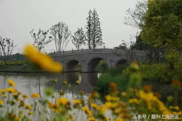 上海免费景点排行榜前十名,2022春节上海景点免费开放