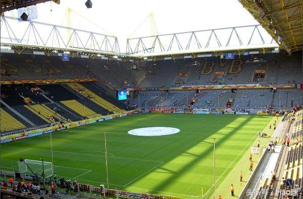 蜜蜂战斗大黄蜂,大黄蜂与蜜蜂的激烈战斗