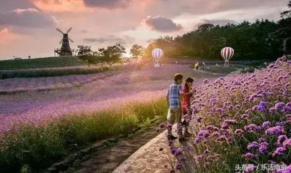 1949-2019南京变化,2011-2012年南京