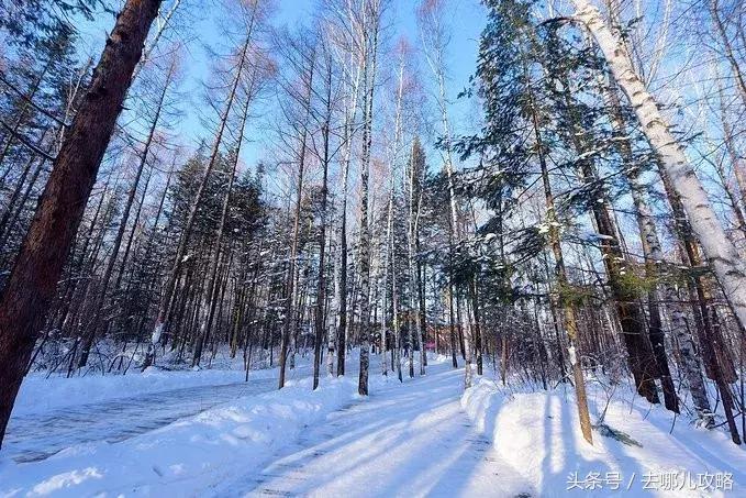 吉林长白山景区门票多少钱,吉林长白山风景区门票政策
