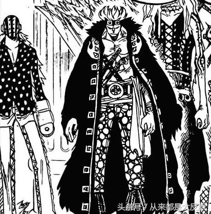 海贼王里一共出现过多少人物(四)(超新星等)