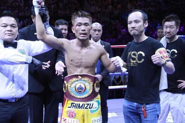 邹市明与日本拳手输得很惨视频,日本送酒工被ko视频