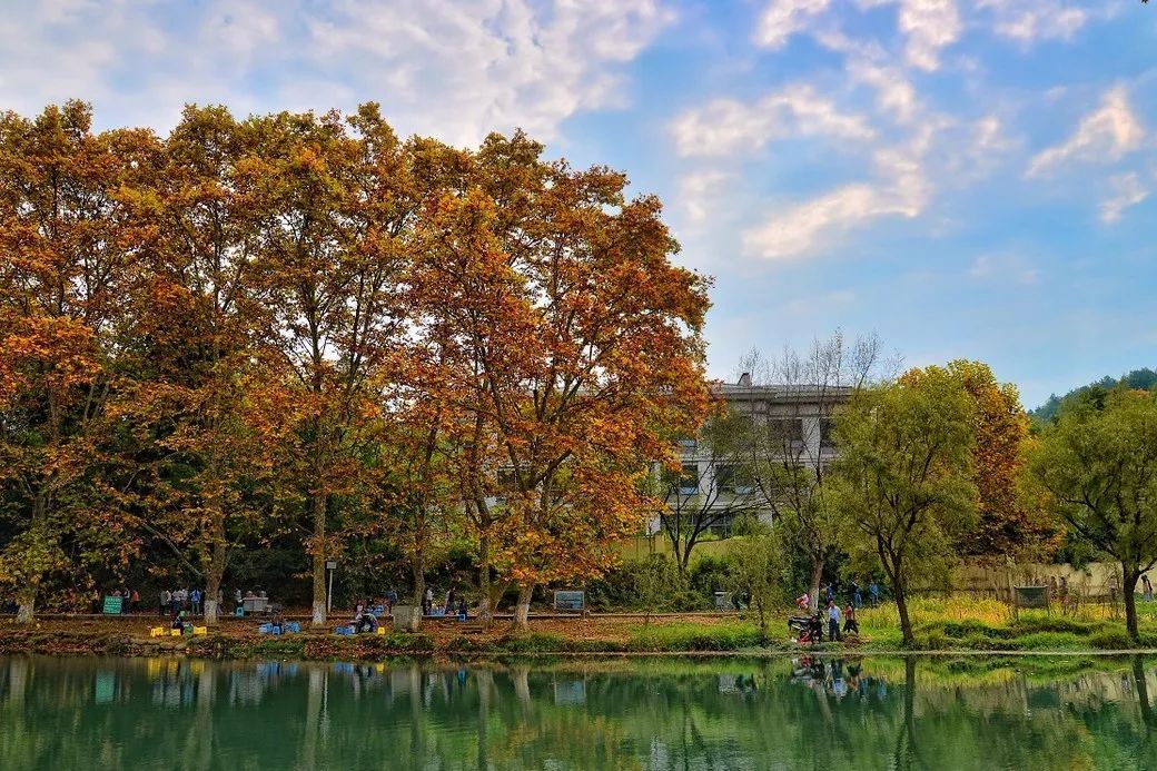 北方已经初冬了，贵州的这些地方秋意正浓，现在去正当时！