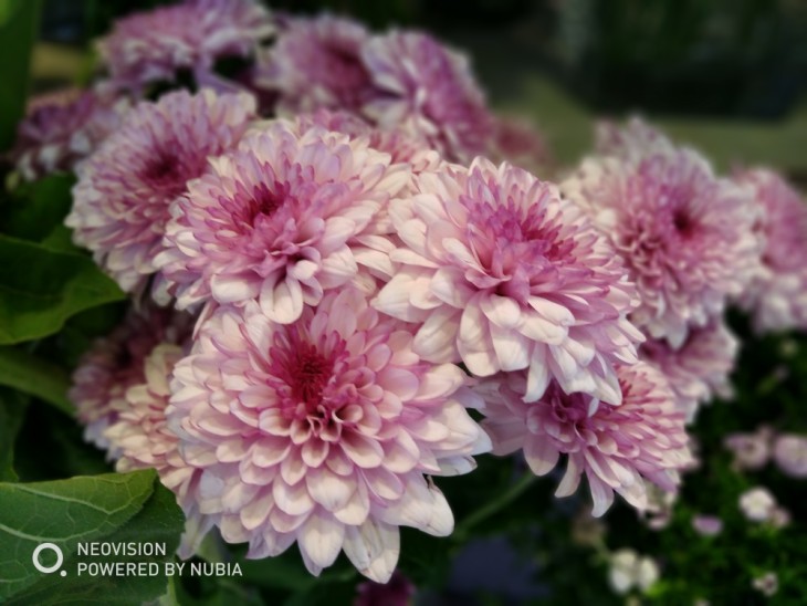 努比亚z17minis侧面照片,努比亚z17minis体验