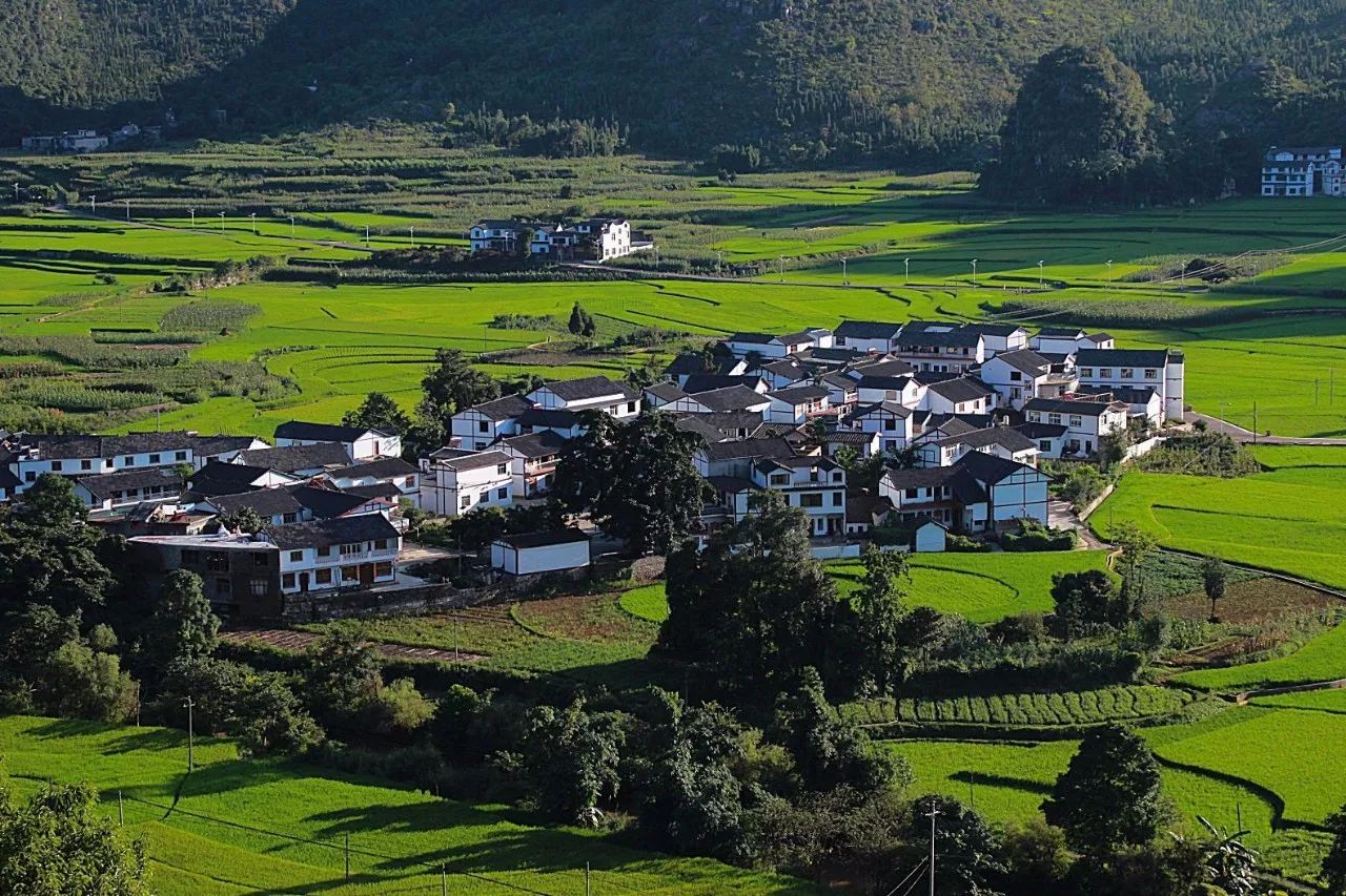 北方已经初冬了，贵州的这些地方秋意正浓，现在去正当时！