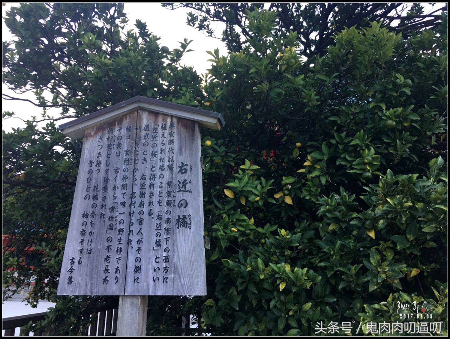 日本第一站飞大阪还是飞东京好,来日本第一个景点