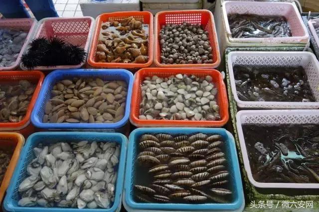 来广州不去看小蛮腰很遗憾,来广州但没去广州塔遗憾吗