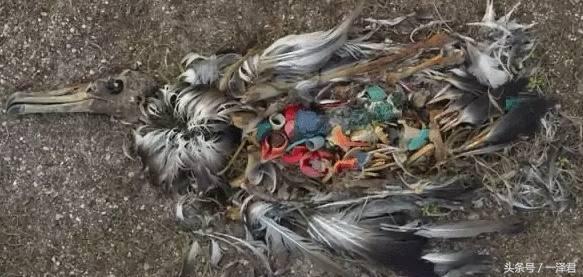 男子靠捡垃圾一年赚百万,捡垃圾赚钱真实案例