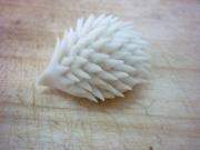 面塑入门自学教程,面塑冰墩墩制作教程