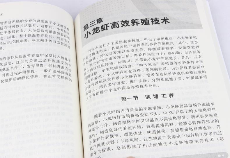 养龙虾到底赚不赚钱,养龙虾是骗局吗