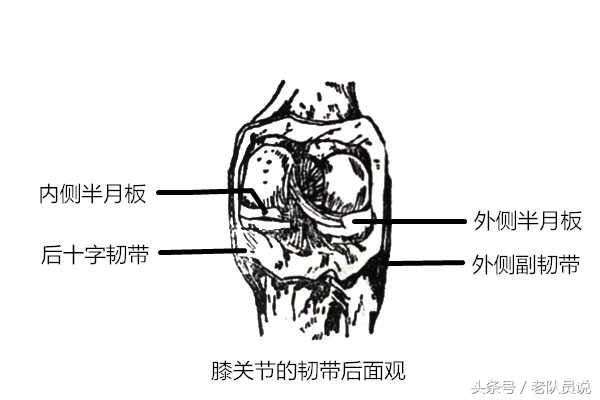 各项运动对膝关节损伤排名,运动过量后膝关节损伤应如何恢复