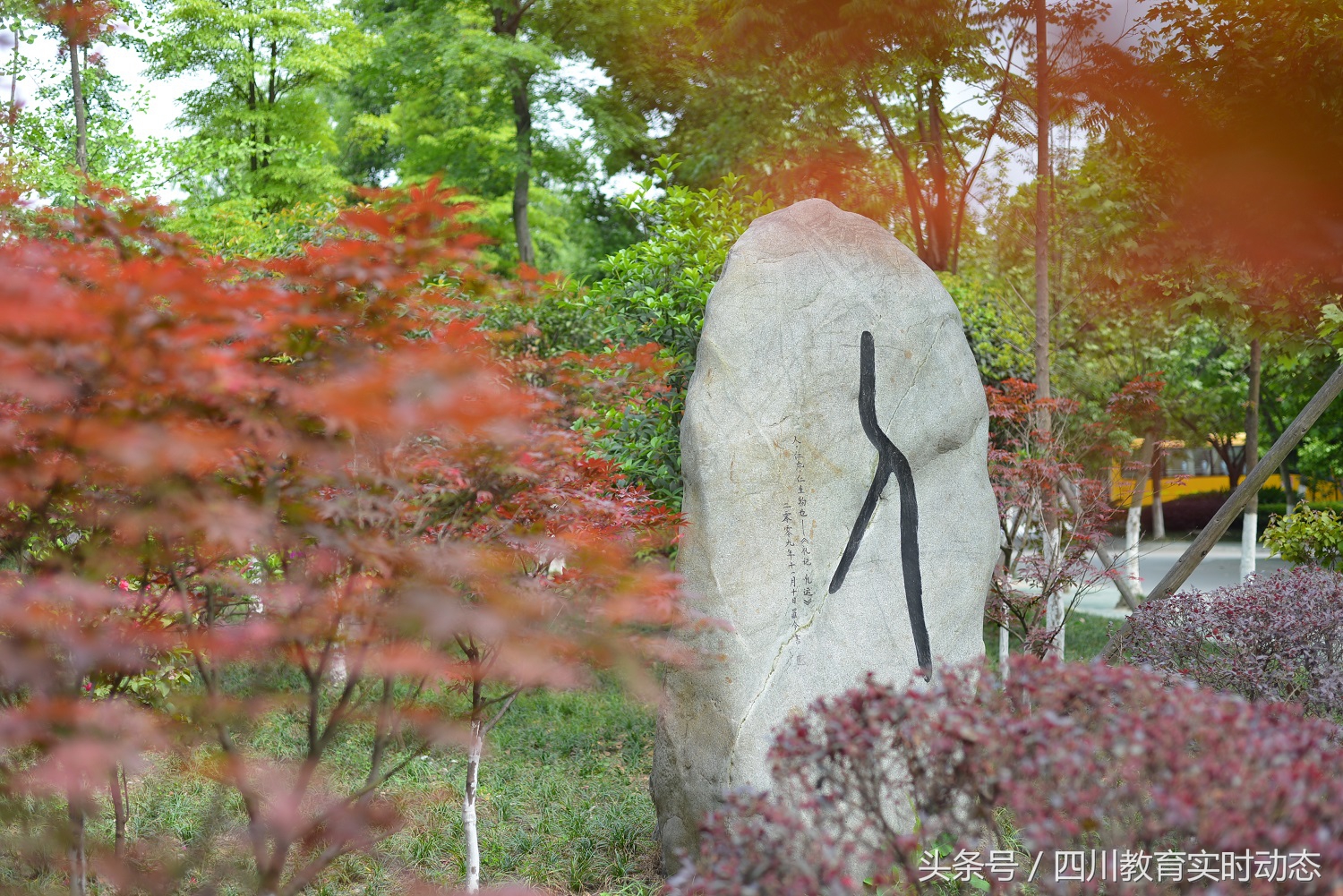 武侯外国语学校小学招生,成都武侯外国语学校新校区