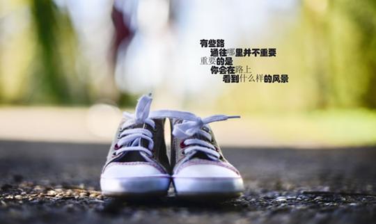 凡心所向素履所往书法,凡心所向素履以往道阻且长