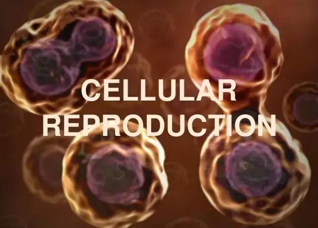 保健品吃下去不吸收会怎么样,保健品吃了没效果能退吗