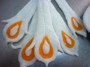 面塑入门自学教程,面塑冰墩墩制作教程