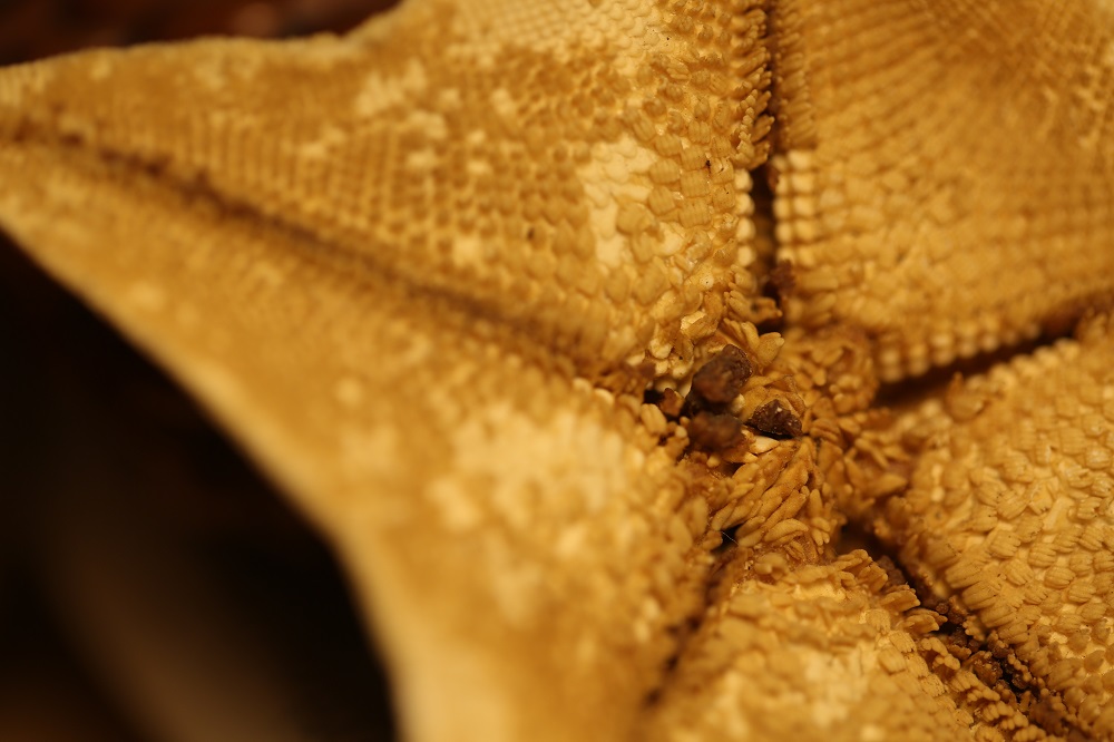 小蚁微单m1值不值得买,小蚁微单m1拍竖构图怎么全屏