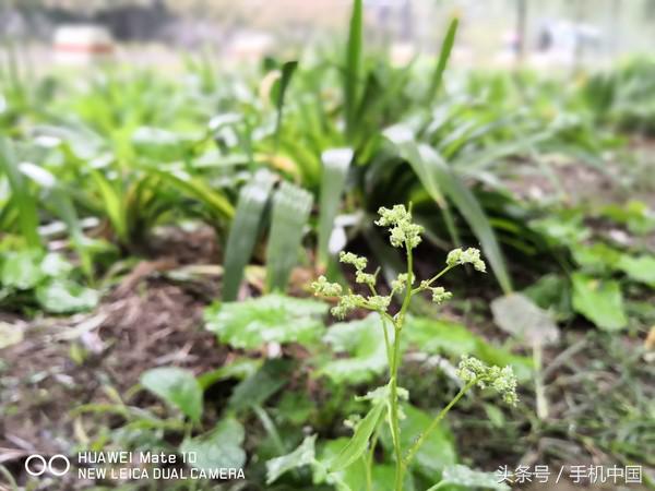 华为mate10评测保时捷,华为mate10完整评测