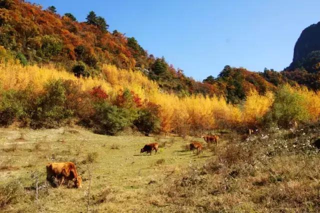 去广元必须去玩的风景,四川广元旅游必去十大景点推荐