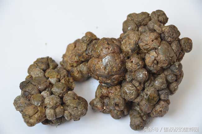 真正的进口蜂胶,第三代无铅蜂胶和进口蜂胶哪个好