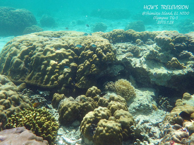 阳光，假日，海滩，带你深度游巴拉望上