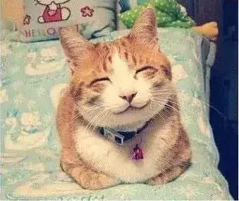 石家庄高中放假时间2022寒假通知,石家庄高校寒假放假最新通告