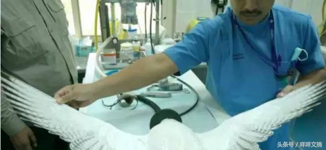 你还见过哪些奇葩职业,19个奇葩职业