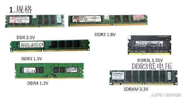 铅锤哥：一篇文章了解内存