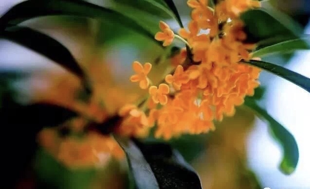 圈子虽小干净就好男生版,圈子虽小干净就好抖音视频