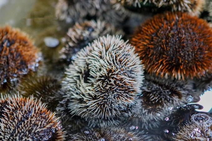 预支一段未来的旅行,带着父母去度假——三亚