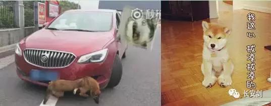 三分钟法治新闻100条,法治三分钟知天下