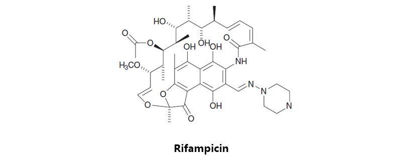 肺结核药物的研发流程,肺结核有可能研发特效药