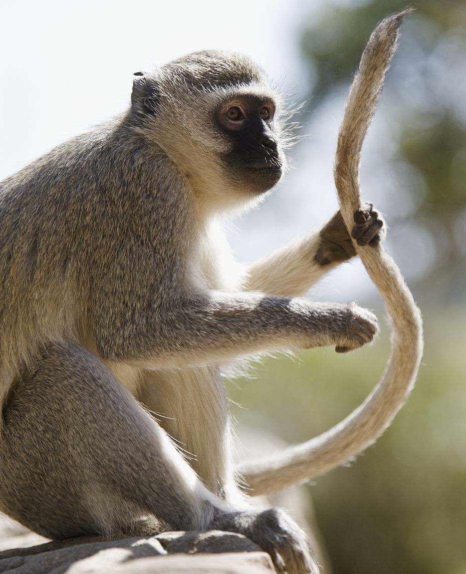 你不知道的冷门小知识,让人爆笑的科普知识