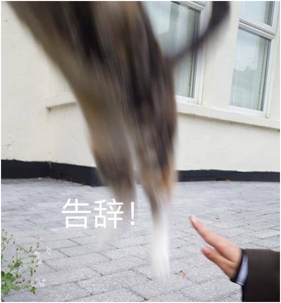 今年最好看的科幻电影是什么,一部不容错过的2019科幻片