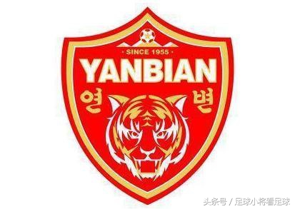 延边富德巡礼,中超巡礼之鲁能比赛