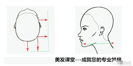 听说看了这美发沙宣理论，进理发店再也不用怕被坑了……