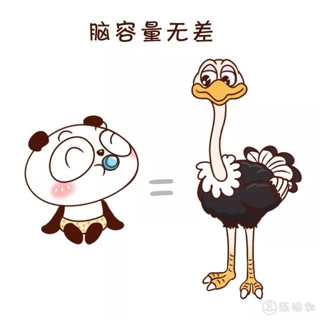 女人的颜值取决于骨盆，除了滋阴缓解痛经，它还能改善XO型腿