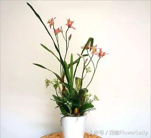 在家怎么插花视频教程,如何正确插花