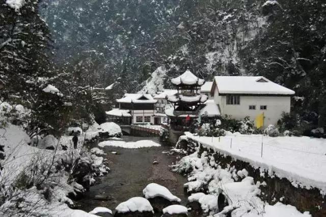 美雪哭了视频完整版,冬天的西岭雪山风景
