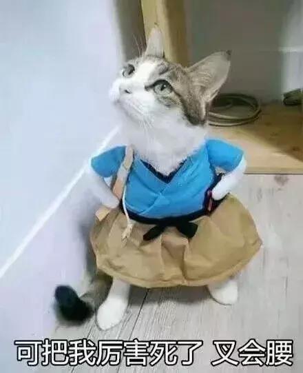 四六级英语听力听不懂怎么办,四六级听力听不懂转调