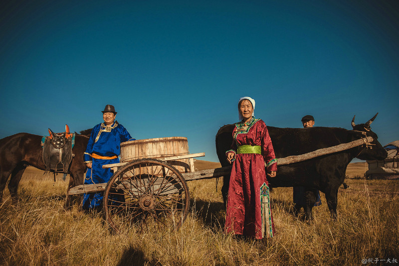 草原金秋美景图片,蓝天白云大草原的美图