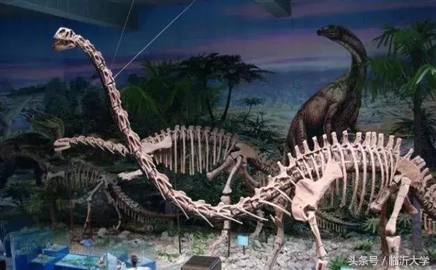 恐龙来了！上万元门票同时砸中幸运的你！