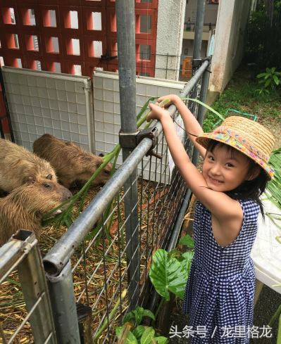 日本冲绳亲子游自由行攻略,冲绳亲子游视频