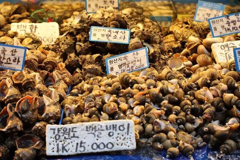 这里可能是唯一能够满足你吃到巨无霸海鲜和偶遇Runningman的地方了！