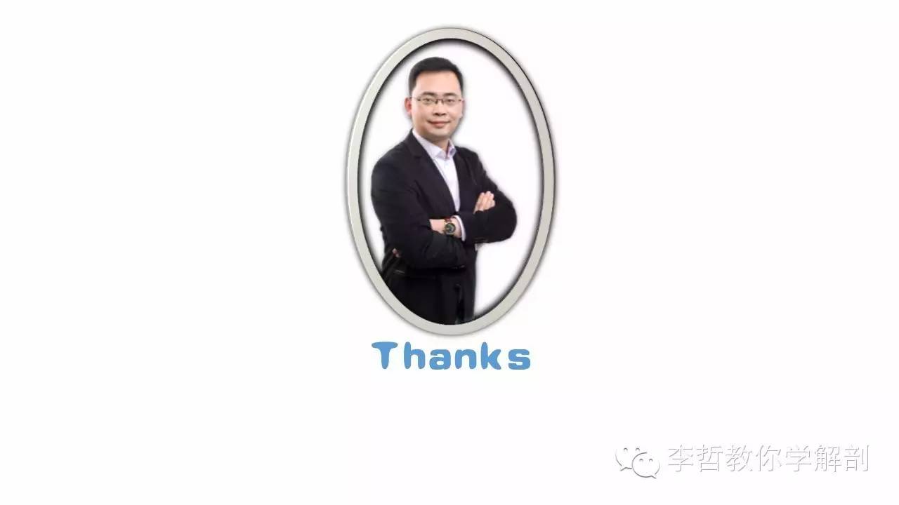 康复治疗学物理治疗,功能解剖学主要介绍什么