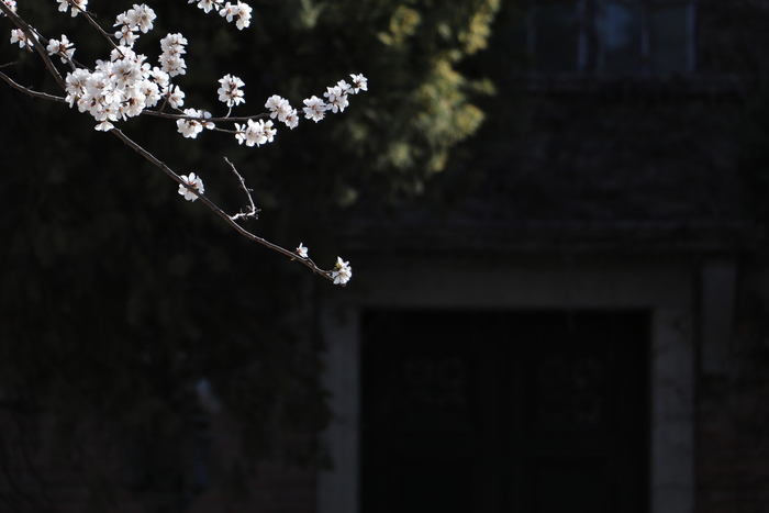 佳能2420像素和4500像素区别,2420万像素佳能750d