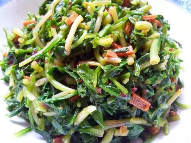 开春挖野菜教你轻松识别18种野菜,您知道春季最养肝护肝的野菜吗